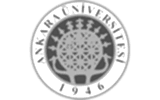 Ankara Üniversitesi Proficiency Hazırlık Atlama İngilizce Dil Sınavı Hazılırlığı